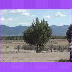 Her Mesa Verde View.jpg